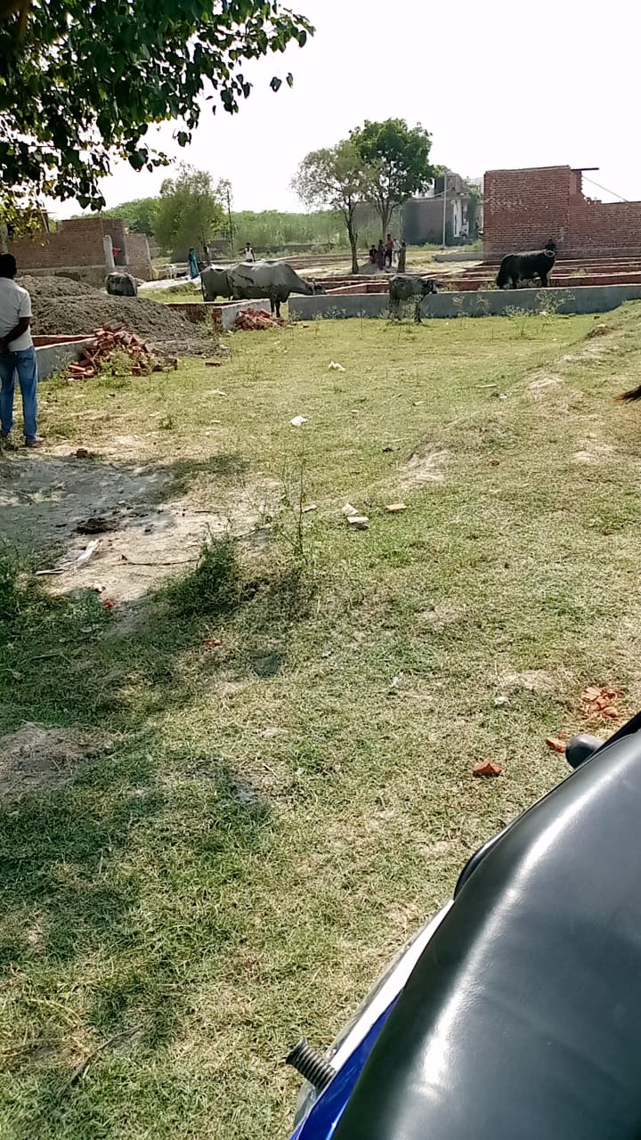 राजेश बैरागी ग्रेटर नोएडा। प्राधिकरण के अधिसूचित क्षेत्र में सरकारी भूमि पर अवैध रूप से कॉलोनी बसाने वाले भूमाफियाओं के लिए उत्तर प्रदेश की योगी सरकार का क्या नजरिया है? निस्संदेह ऐसे लोगों को गंभीर धाराओं में निरुद्ध कर जेल में डाले जाने के दावे किए जाते हैं। परंतु ग्रेटर नोएडा के नॉलेज पार्क 5 स्थित गांव तुस्याना का जंगल भूमाफियाओं के लिए वरदान साबित हो रहा है। यहां इस प्रकार की किसी कार्रवाई का भय भूमाफियाओं को नहीं है। ग्रेटर नोएडा प्राधिकरण के अधिसूचित और अधिग्रहित गांव तुस्याना के खाली पड़े जंगल में भूमाफियाओं का खेल जारी है।लंबी लंबी दीवारें बनाकर सरकारी और अधिग्रहित भूमि पर कॉलोनी बसाई जा रही हैं। यहां प्राधिकरण, टेक्नोलॉजी पार्क लिमिटेड (टीपीएल) और राज्य सरकार की सैकड़ों बीघा भूमि है।भूमाफिया और टीपीएल मिलकर विवादित और सरकारी भूमि पर महीनों से यहां कॉलोनी काटने में जुटे हुए हैं। पिछले दिनों जिला प्रशासन और पुलिस ने अवैध रूप से बनाई गई दीवारें ढहा दी थीं परन्तु भूमाफियाओं पर इस कार्रवाई का कोई असर नहीं हुआ। तुस्याना गांव के ग्रामीण बताते हैं कि इस खेल में तहसील, प्राधिकरण और पुलिस विभाग के लोग शामिल हैं। इसलिए दिखावे की कार्रवाई की जाती है और खेल जारी रहता है।